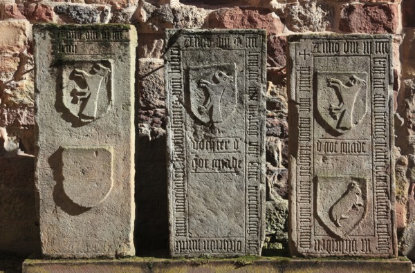 Gravestones in the Bibras Chapel in the ruins of St. Mary's Monastery Church, Veßra Monastery, Hildburghausen District, Thuringia, Germany, Europe