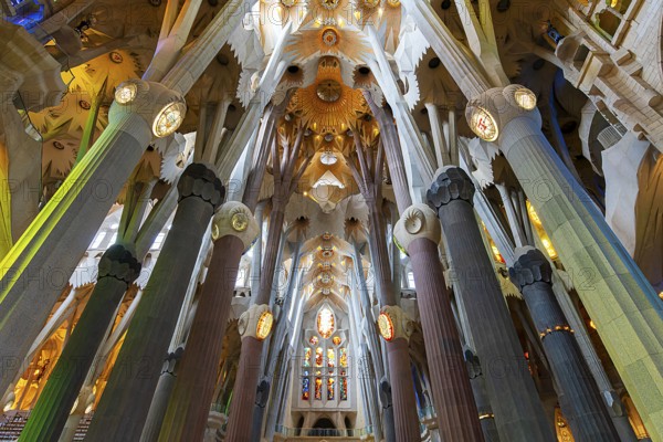 Interior of the Sagrada Família, Church of the Atonement of the Holy Family, architect Antoni Gaudí, Barcelona, Catalonia, Spain, Europe