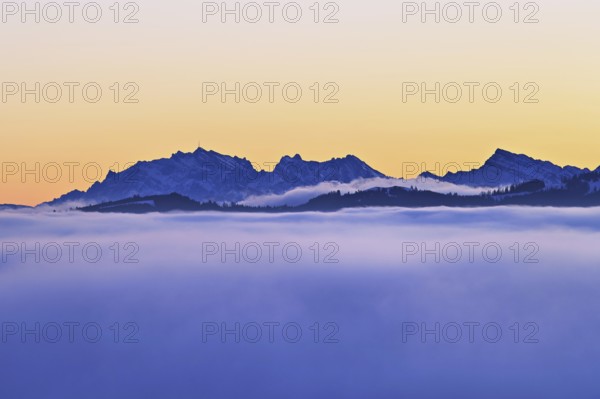 Sunset over the sea of fog, in the background the Säntis, Canton Zug, Switzerland, Europe