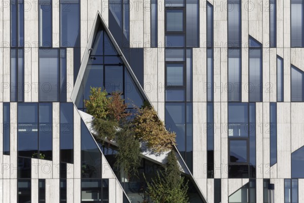 Green façade on the Kö-Bogen, commercial and office building, architecture by Daniel Libeskind, Düsseldorf, North Rhine-Westphalia, Germany, Europe
