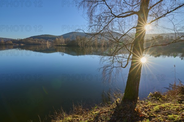 Tree on lake with sun, Freudenberg am Main, Untermain, Spessart, Odenwald, Franconia, Baden-Württemberg, Germany, Europe