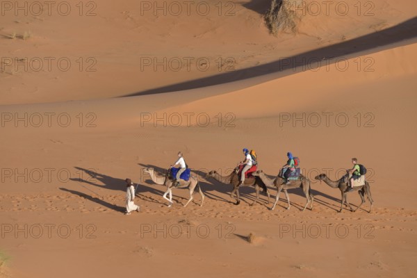 Tourists riding on camels through the dunes, Sahara, Merzouga, Meknès-Tafilalet region, Morocco, Africa
