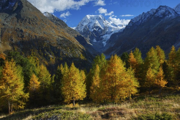 Mt Collon, Arollatal, Valais Switzerland