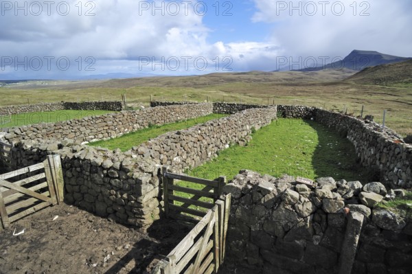Dry stone sheep pen on the Isle of Skye, Inner Hebrides, Scotland, UK
