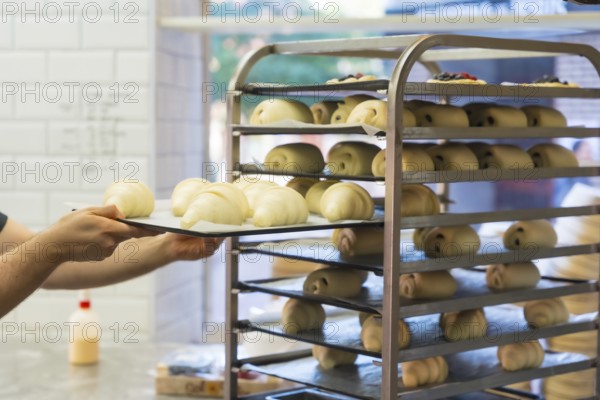 Baker of bakery in workshop workshop of artisan bakery placing croissant for baking
