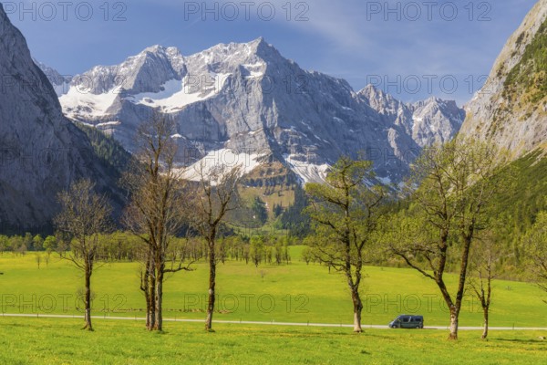 Camper van, Nature conservancy area Grosser Ahornboden. Sycamore maple trees, Acer pseudoplatanus, in springtime. Karwendel Mountains, Austria, Europe