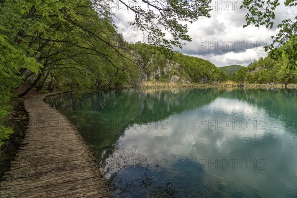 Trail in Plitvice Lakes National Park, Croatia, Europe