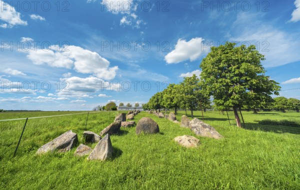The megalithic tomb of Gehrden, Neolithic megalithic burial site, Zerbst (Anhalt), Saxony-Anhalt, Germany, Europe