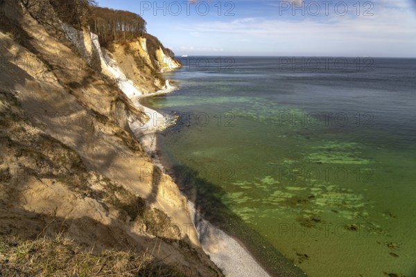 The famous chalk cliffs on the Baltic Sea coast in Jasmund National Park, Ruegen Island, Mecklenburg-Western Pomerania, Germany, Europe