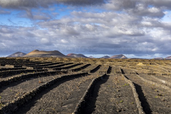 Volcanic crater, The stony terraces of volcanic soil stretch out under a dramatic, cloudy sky, with views of the mountains, Canary Islands, Lanzarote, Spain, Europe
