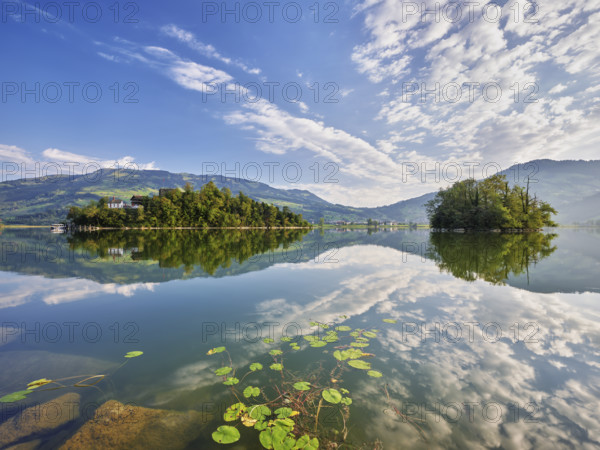 Lake Lauerz with Schwanau Island, Lauerz, Canton Schwyz, Switzerland, Europe