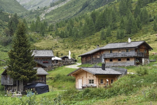 The rustic alpine huts of the Brugger Alm above St. Jakob in Defereggen, East Tyrol, Austria, Europe