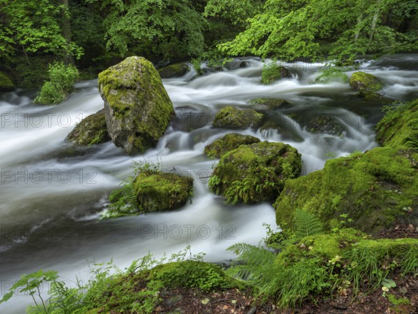 White water and rapids on the Trieb stream in the Triebtal nature reserve in Vogtland, Plauen, Saxony, Germany, Europe