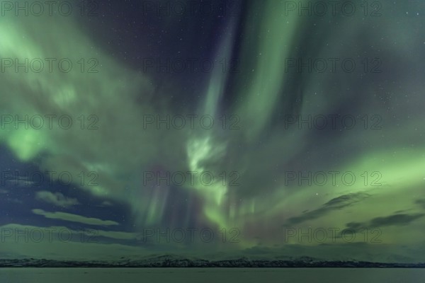 Northern Lights, Aurora borealis, frozen lake, mountains, winter, Torneträsk, Laponia, Lapland, Sweden, Europe