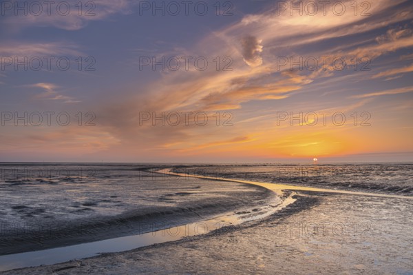 View of a tidal flat in the Wadden Sea at low tide at sunset, National Park, Unesco, World Natural Heritage, World Heritage, Lower Saxony, Wadden Sea, Cuxhaven, Lower Saxony, Germany, Europe