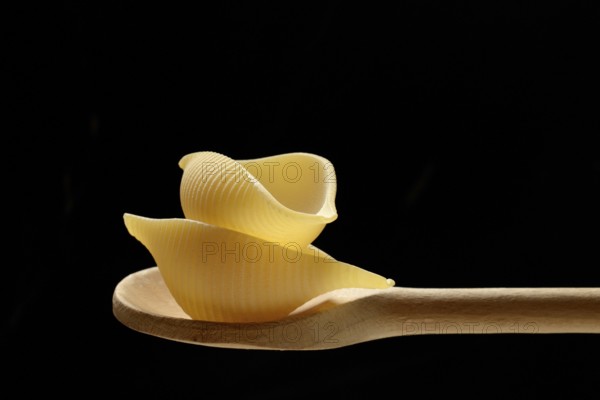 Conchiglione, Italian pasta variety on cooking spoon in front of black background, Italy, Europe