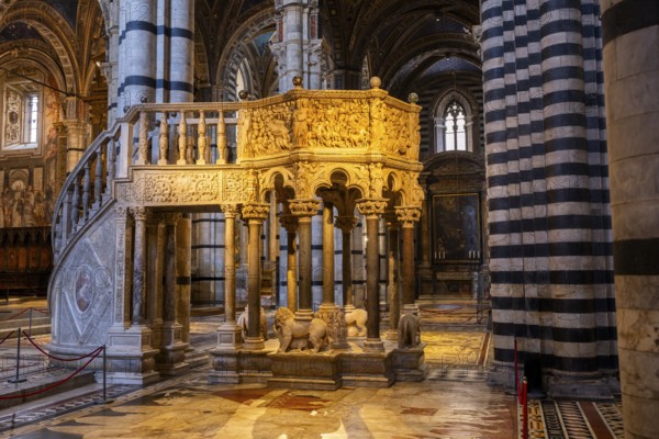 Interior of colorful marble decoration, Siena Cathedral or Cattedrale di Santa Maria Assunta, Siena, Tuscany, Italy, Europe