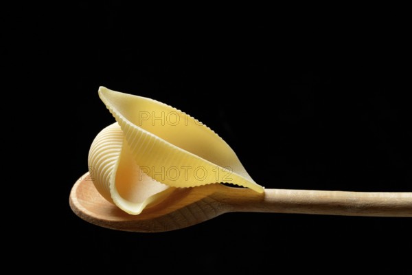 Conchiglione, Italian pasta variety on cooking spoon in front of black background, Italy, Europe