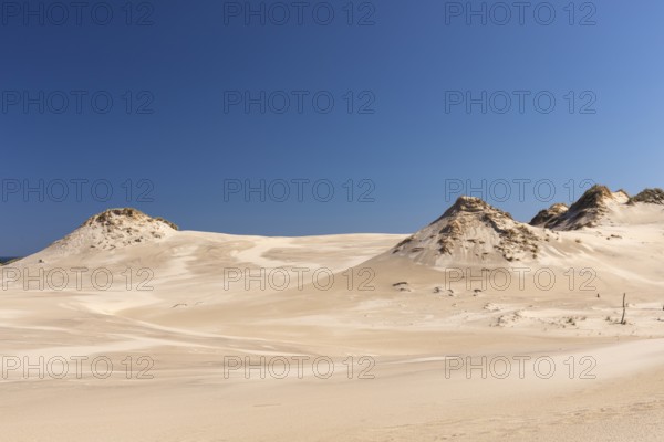Lacka Dune on a sunny day with a blue sky in the Slowinski National Park, northern Poland on the Baltic Sea coast. 42 metres high and moving at a rate of 3 to 10 metres per year