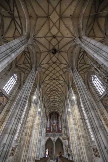 Reticulated vault and organ loft of the late Gothic hall church of St George, Dinkelsbühl, Bavaria, Germany, Europe