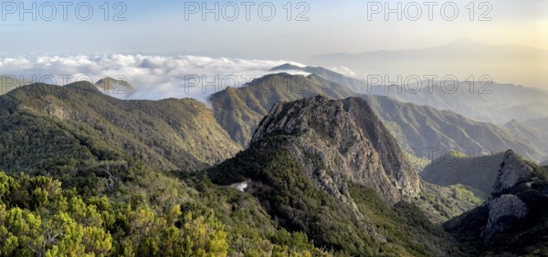 Los Roques, striking rock towers, Monumento Natural de los Roques, La Gomera, Canary Islands, Spain, Europe