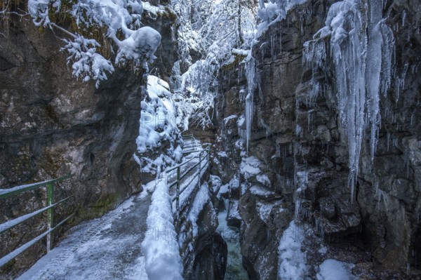 Winter, snowy landscape, icicles, hiking trail through the Breitachklamm gorge near Oberstdorf, Oberallgäu, Allgäu, Bavaria, Germany, Europe
