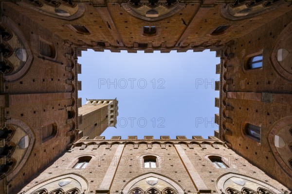 Upwards view of Torre del Mangia from inside Palazzo Pubblico, Siena, Tuscany, Italy, Europe