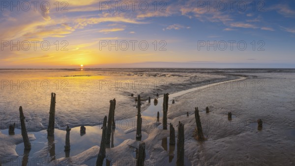 View of old rotten stakes in the Wadden Sea at low tide at sunset, National Park, Unesco, World Natural Heritage, World Heritage, Lower Saxony, Wadden Sea, Cuxhaven, Lower Saxony, Germany, Europe