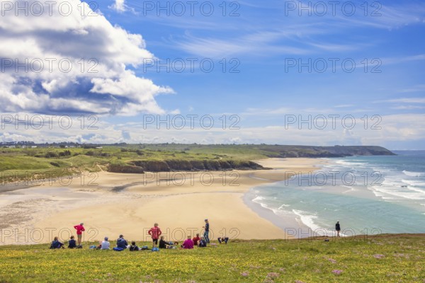Group of hikers resting on a flowering meadow by a beautiful sandy beach with a seascape view a sunny summer day, Crozon peninsula, Pointe de Lostmarc'h, Bretagne, France, Europe