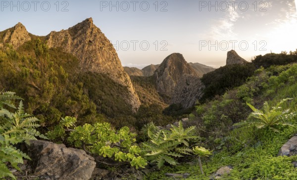Los Roques, striking rock towers, Monumento Natural de los Roques, La Gomera, Canary Islands, Spain, Europe
