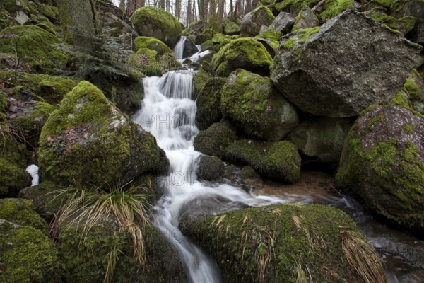 Moss-covered rocks, waterfalls, Geishöll waterfalls, In der Geishöll, near Sasbachwalden, Black Forest, Baden-Württemberg, Germany, Europe