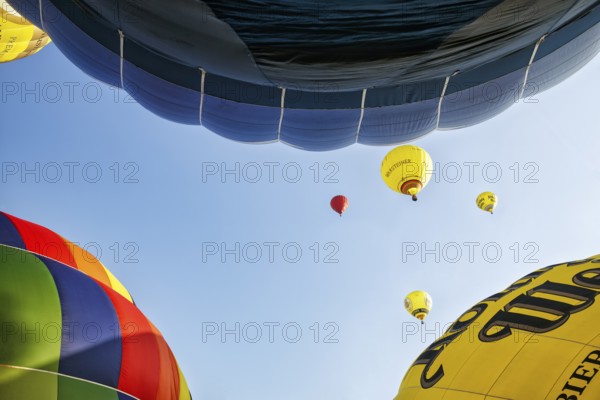 Several colourful hot air balloons rise into the air, view from below, mass launch, Hot Air Balloon Festival, 26th Warsteiner International Montgolfiade, Warstein, Sauerland, North Rhine-Westphalia, Germany, Europe