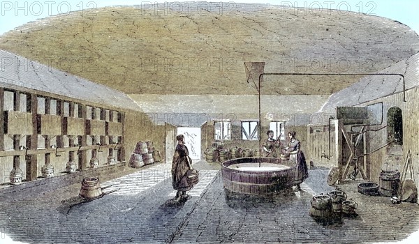 Model farm in Zealand in 1896, cheese cellar, Denmark, Historic, digitally restored reproduction of an original 19th-century artwork, exact original date unknown, Europe
