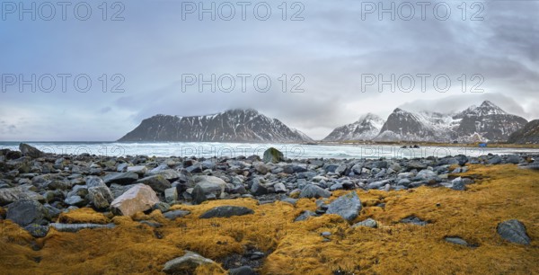 Panorama of rocky coast of fjord of Norwegian sea in winter with snow. Skagsanden beach, Lofoten islands, Norway, Europe