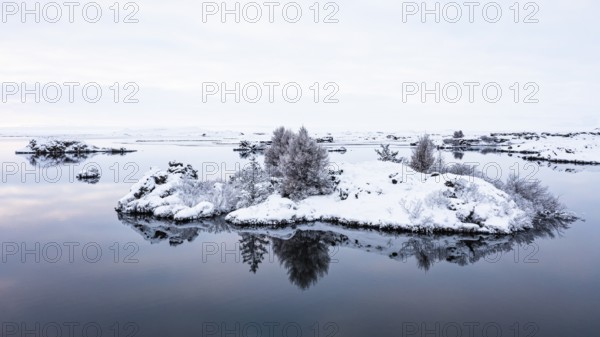 Snow-covered small islands overgrown with bushes in Lake Myvatn, at blue hour, Kalfaströnd, drone shot, Northern Iceland Eyestra, Iceland, Europe