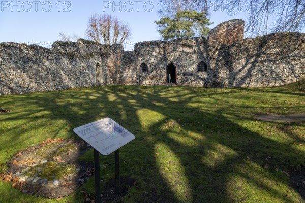 Ruins of a small Augustinian priory founded c 1216, St Olaves Priory, Norfolk, England, UK