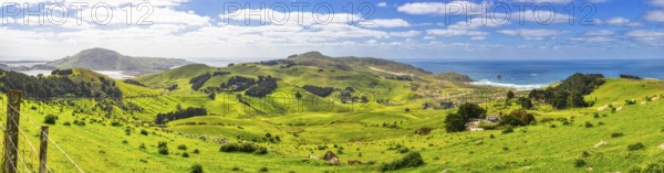 Landschaft, Panorama, Otago, Neuseeland
