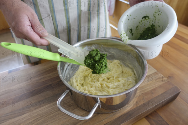 German cuisine, preparation of sauerbraten with mashed potatoes, adding rocket to mashed potatoes, pot, grandmother's cooking, regional, home cooking, traditional cuisine reinterpreted, man's hand, mixing bowl, food photography, studio, Germany, Europe