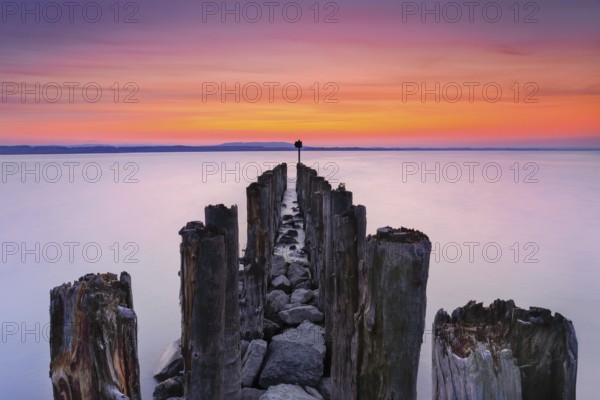 Ancient wooden piles in Lake Constance at sunrise against the light, near Altnau in the canton of Thurgau, Switzerland, Europe