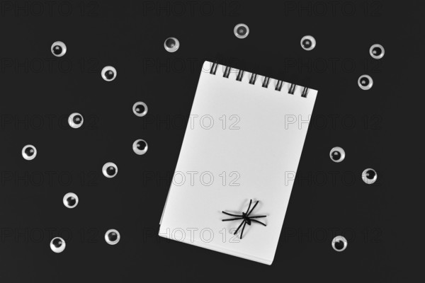 Halloween eyes, empty notebook and spiders on black backgroound