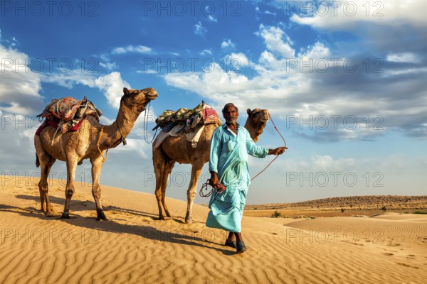 Rajasthan travel background, Indian cameleer (camel driver) with camels in dunes of Thar desert. Jaisalmer, Rajasthan, India, Asia