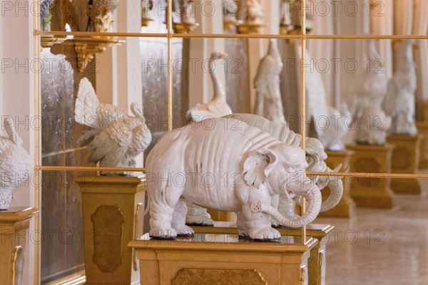 Dresden Porcelain Collection
