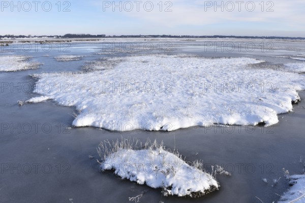 Snow-covered salt marshes near St. Peter-Ording, Schleswig-Holstein, Germany, Europe