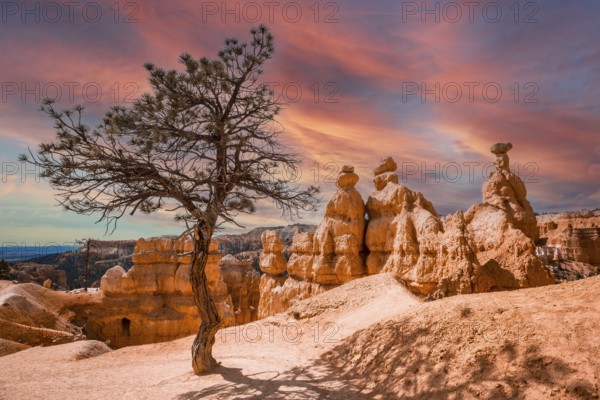 Trekking Queens Garden Trail in Bryce National Park, Utah. United States