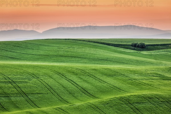 Moravian rolling landscape on sunrise. South Moravia, Czech Republic, Europe