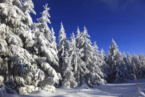 Winter landscape in the Fichtelgebirge, Bayreuth district, Upper Franconia, Bavaria, Germany, Europe