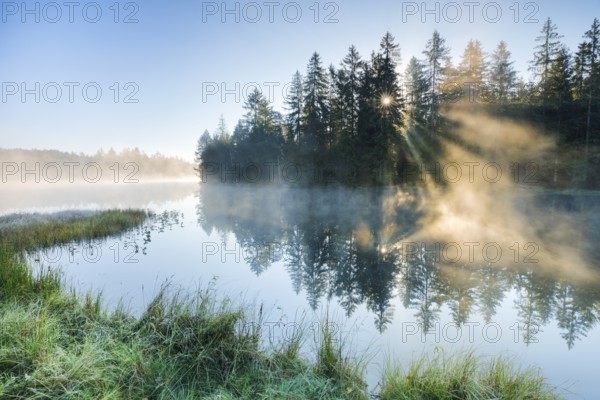 Rays of sunshine make their way through forest and fog at the mirror-smooth moorland lake Étang de la Gruère in the canton of Jura, Switzerland, Europe
