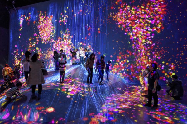Digital Art Museum, Epson Team Lab Borderless, Odaiba Island, Tokyo, Japan, Asia