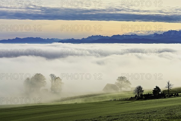 Fog over the Reuss valley, behind the snow-covered Alps, Schlatt, Freiamt, Canton Aargau, Switzerland, Europe
