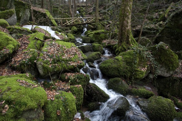 Moss-covered rocks, waterfalls, wooden bridge, Geishöll waterfalls, In der Geishöll, near Sasbachwalden, Black Forest, Baden-Württemberg, Germany, Europe